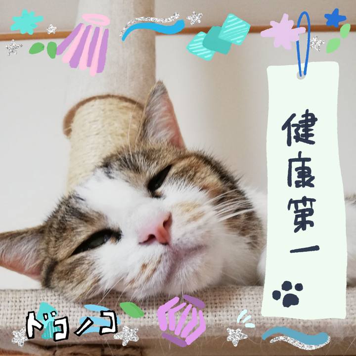 47b8d59b 558f 4329 9099 37f070bf050e 1721256275514