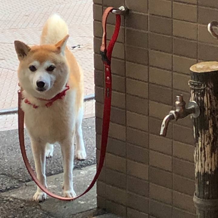 47b8ea33 c2f7 4ac8 b260 7ca4b166ca2b 1567731936880