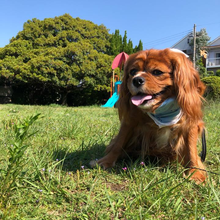 47b8f35b adb7 4894 b9a4 121611a174e1 1622333222073