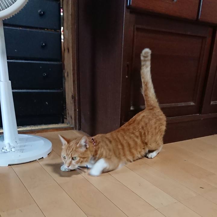 47b90218 9363 4a25 bf77 49fcfc55ec41 1598663218830