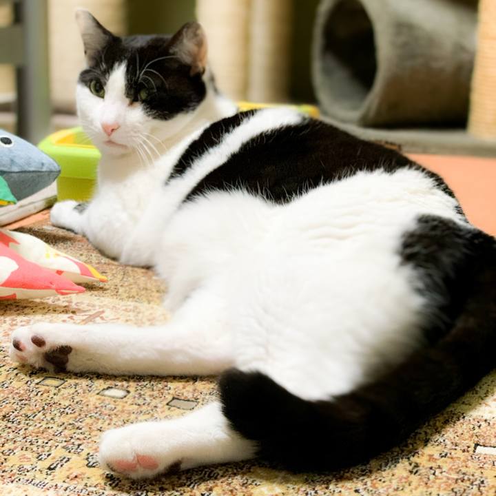 47b9029c c7cc 4f3e bf9f 18b3a85dba0b 1587347290744