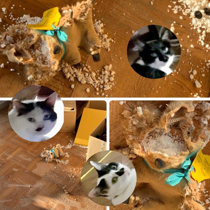 47b94d19 981a 4e2d 9fb7 521e36cbf8af 1601945529449