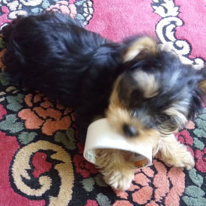 47b96fdb b9c8 4e29 b622 4d6763efb0f6 1743846836072