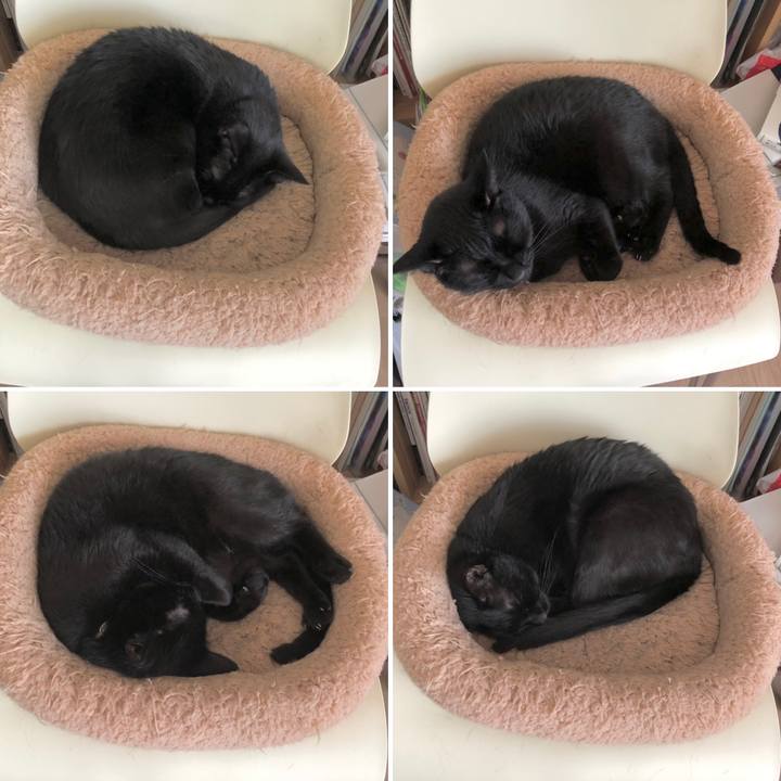 47b97d3a 600c 487d aac3 148160a7844f 1618710854671