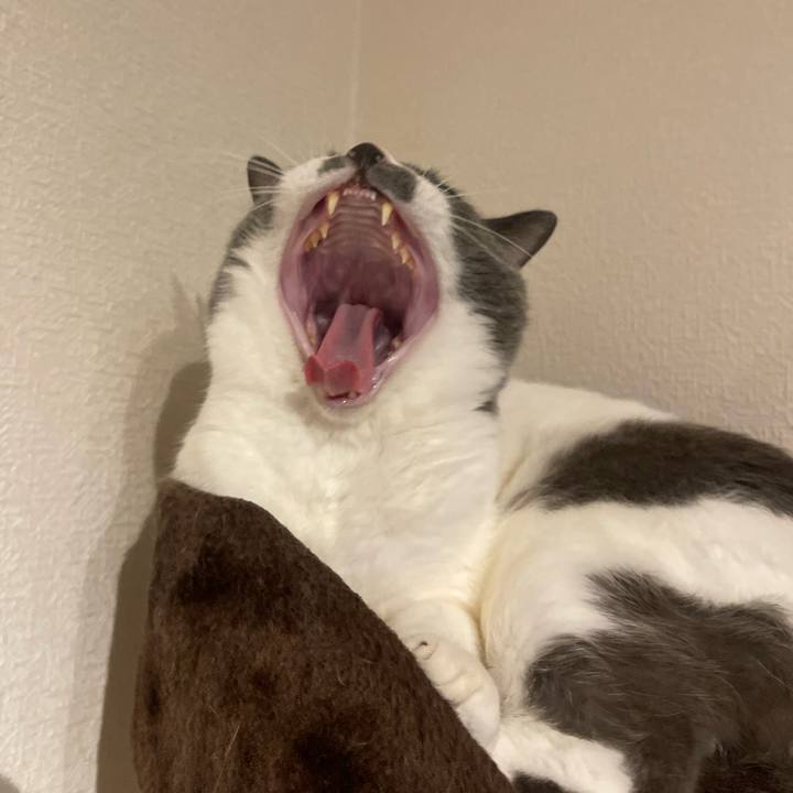 47b9944d 8df6 4d46 902f 7bcd494b58e2 1756119836295