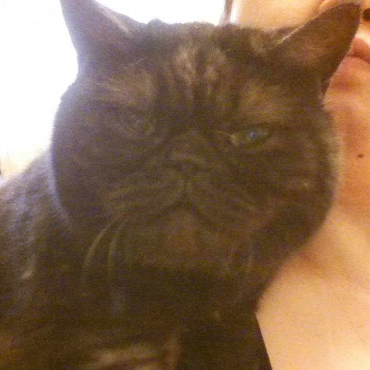 47b9ac66 f0e1 4576 b813 f25e8fe71f48 1593587877279