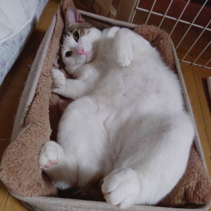 47b9d6ad c317 4932 85c1 a1ede5d4e221 1677848281404