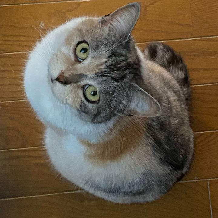 47ba0fc6 5dd0 40b6 a42a 37e63931c431 1615793868610