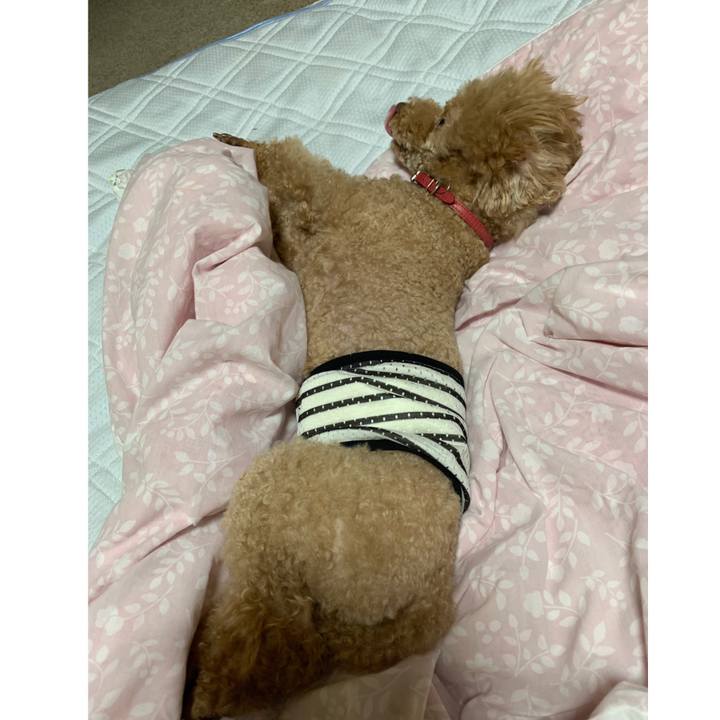 47ba2c7b bc0c 485e 9925 8df06e07d717 1559852068074