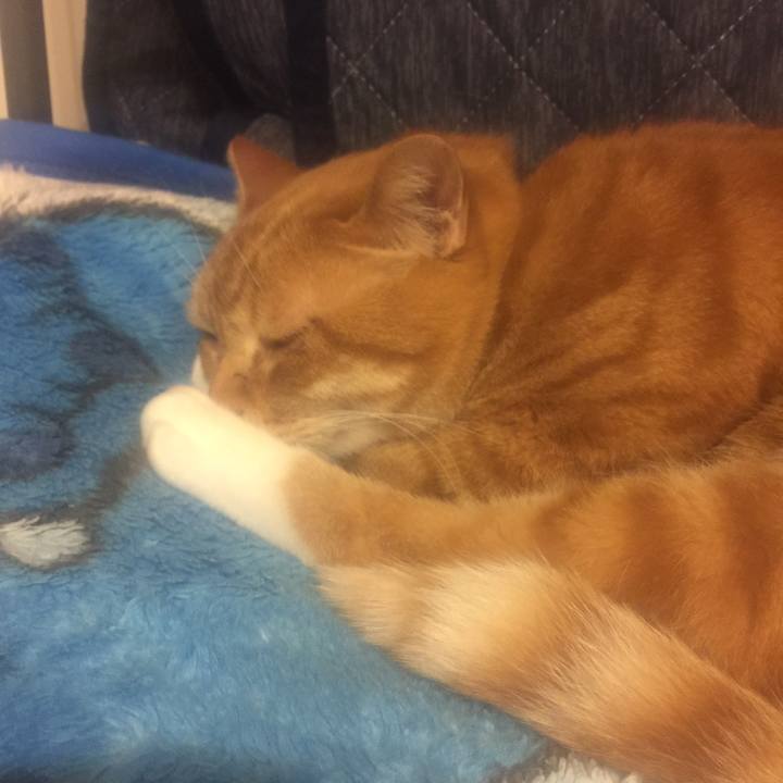 47ba3d8d d589 48a8 972c fb240790b820 1558441985777