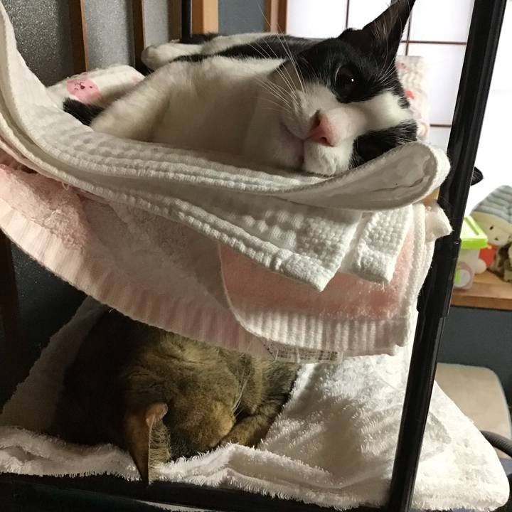 47ba4d0d 7a5e 4054 a2ef 990e68292311 1634463845053