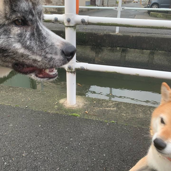 47ba78a5 31cc 4d20 8ece cb5149143bba 1566607785742