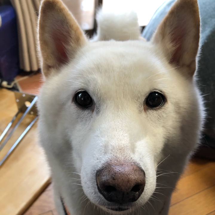 47ba7ef7 0307 4e5a a6df 811083bbb9e5 1639877114517