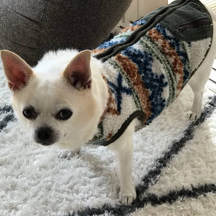 47ba8ce0 56bc 4394 80d5 4f7b38a1be2a 1583924355887