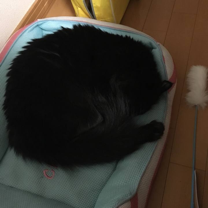 47bac0b8 5939 498a 87d3 68bf9283483d 1517761610653