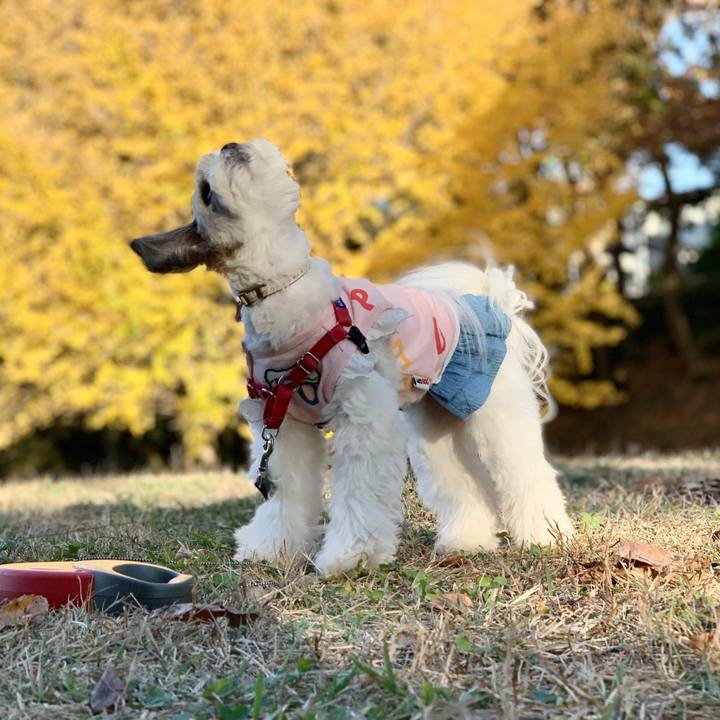 47bac1cf 0a81 4751 834a c37c5c55455d 1606003047224