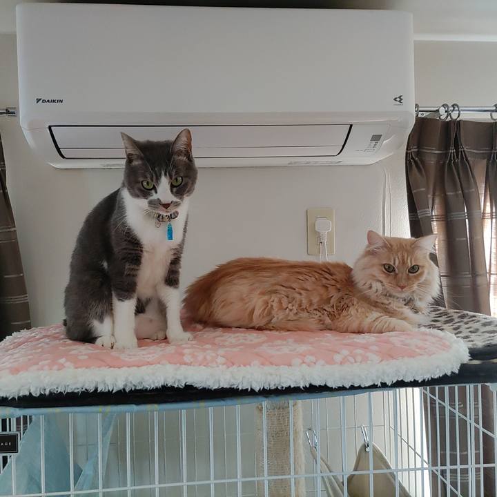 47baf955 4ee1 4b96 8670 3fa45714d855 1703056147877