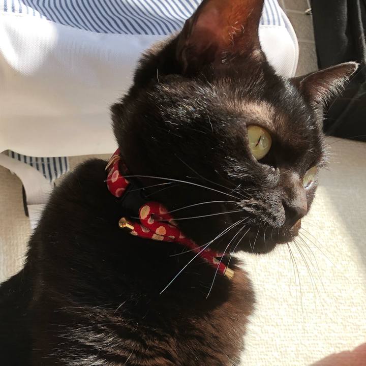 47bb1572 e909 4783 b45f c03ef2620f8d 1604798155303