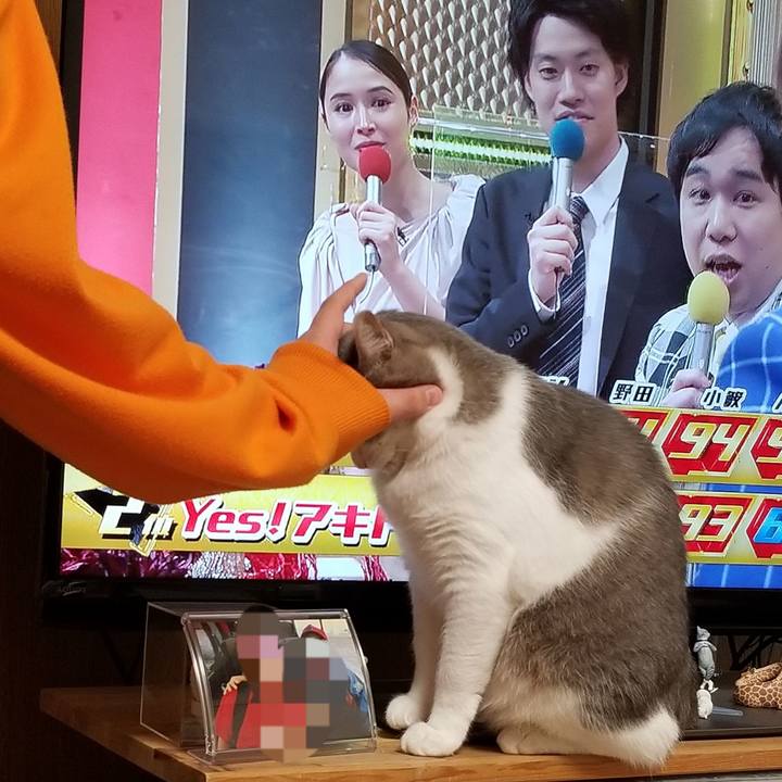 47bb2553 e356 4451 a652 bf70b39652b1 1677988124563