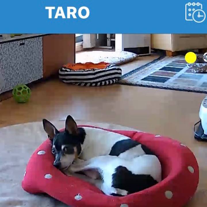 47bb2c55 63f8 4b11 ad5d 96915ba16cbd 1582949332679