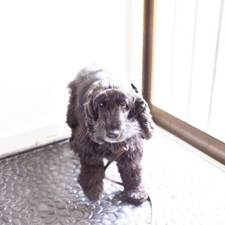 47bb4dd7 09b1 494f 99f8 8183309ce18e 1549369715338