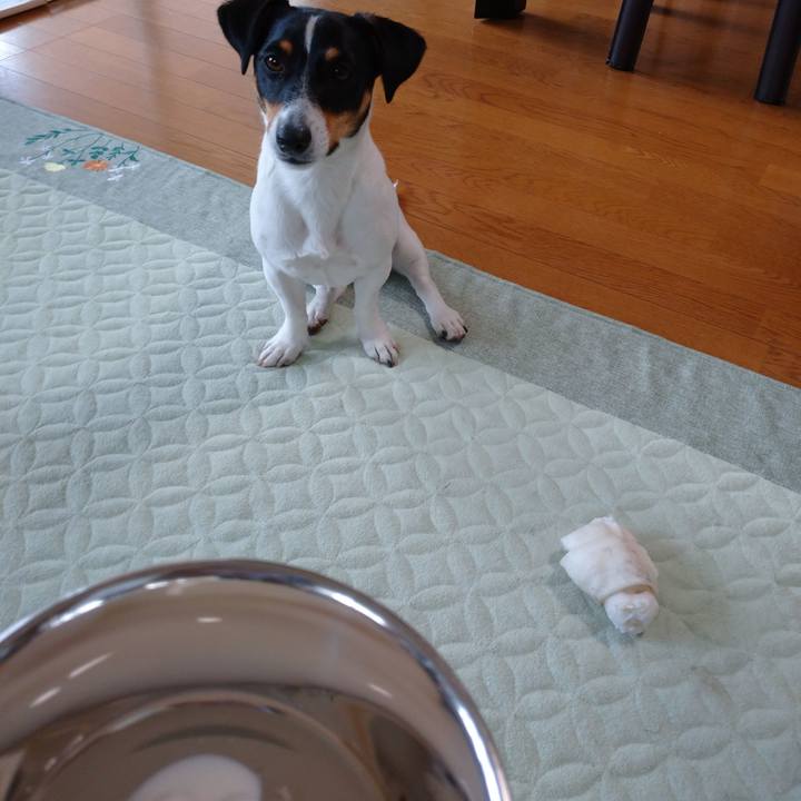 47bb4f49 f8b8 43a0 8c4a 01ca7549ee52 1590890672185