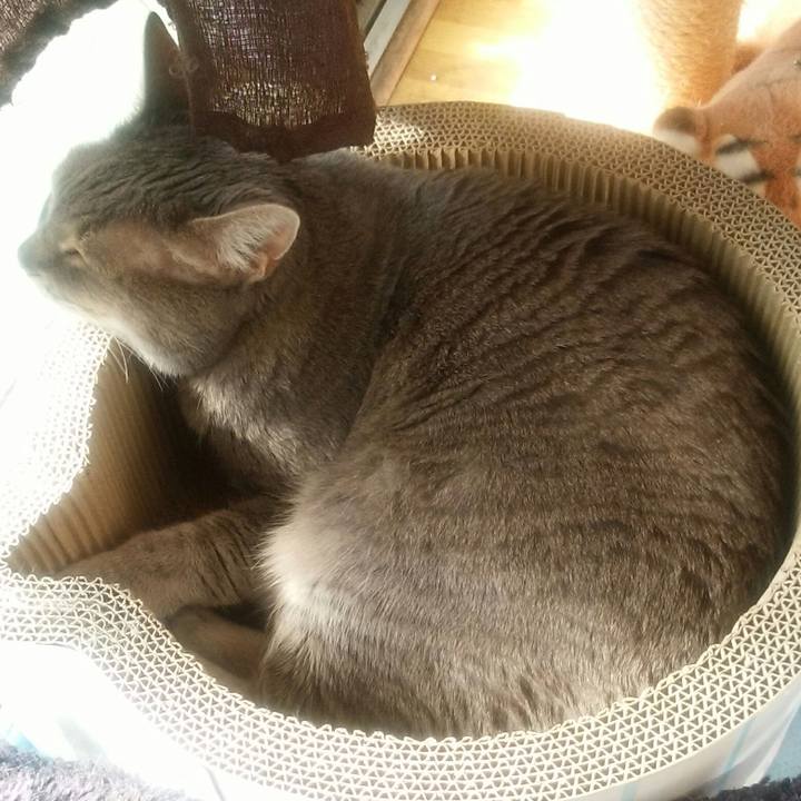 47bb6fa7 4453 43dd 8973 a8b713c4cd2f 1582420269978