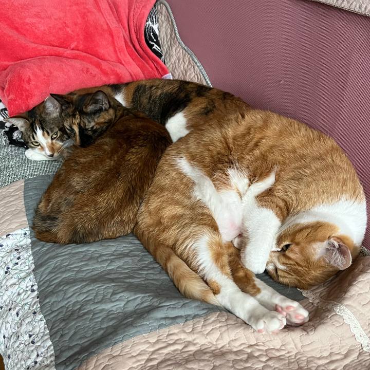 47bb7fe2 e282 40a5 b8e9 c0e9a89e0290 1745219497815