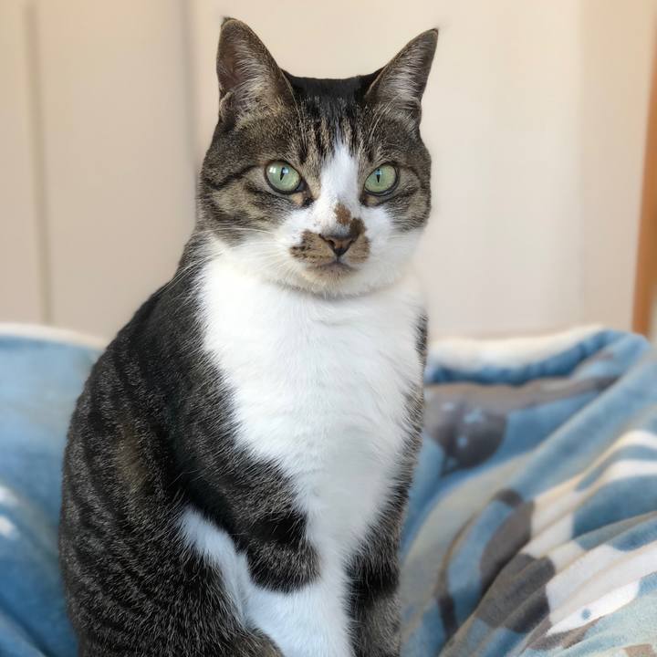 47bb8c4a 22d1 4be6 8c86 0de83ec2692f 1514958499571