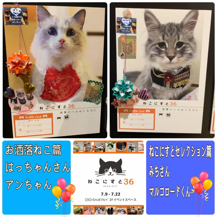 47bbb469 9fd9 49d4 9665 0b8ff729e673 1625815247789