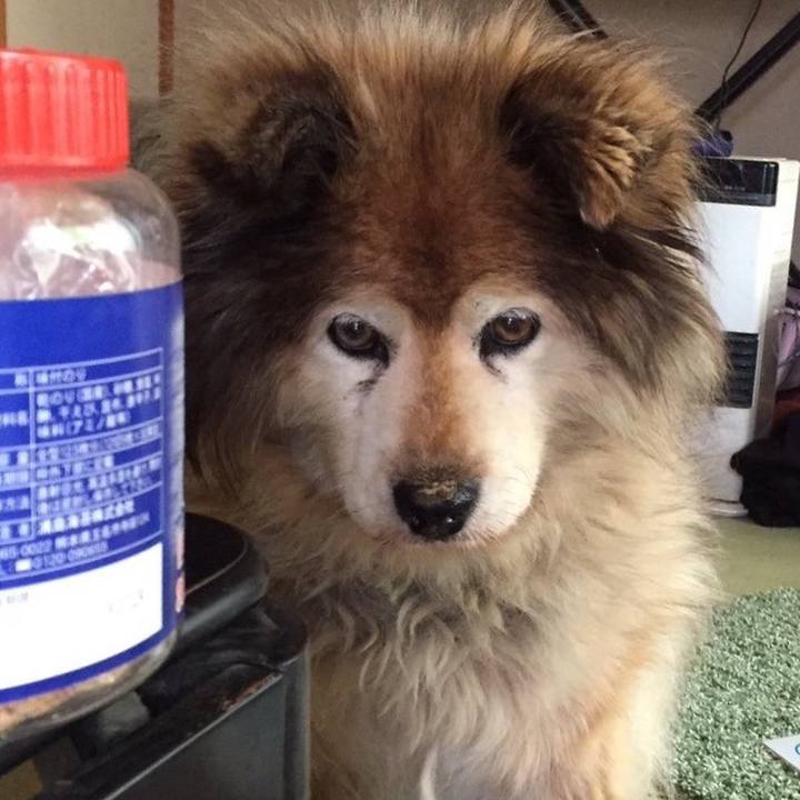 47bbc114 1c45 4985 852a 96398ac9f588 1565310160739