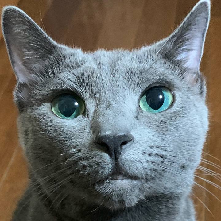 47bbce4e 0efe 463b 862d cf2fb066b550 1569670161356