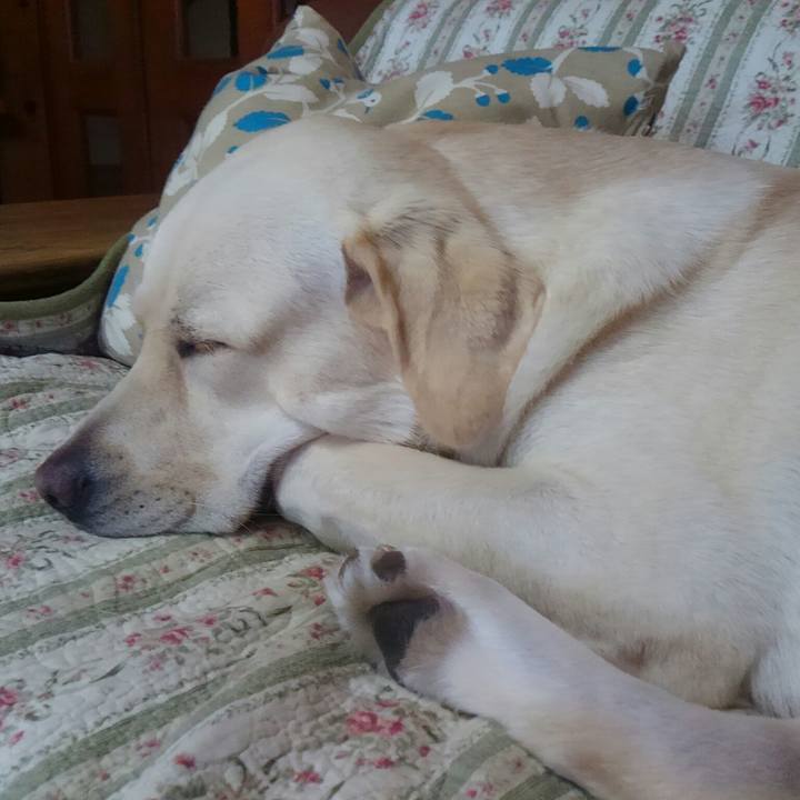 47bbd1d7 29f3 4d4d 8ef1 2d4f6bc1f2ba 1508036126816