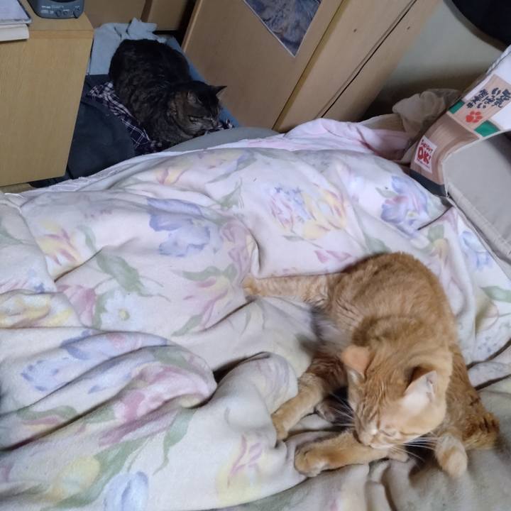 47bbd968 8b57 48bf b62e a75ebeeb5364 1682463957952