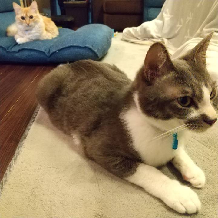 47bbe63c 0c1b 46d2 aade e150e11e7a2e 1617363645675