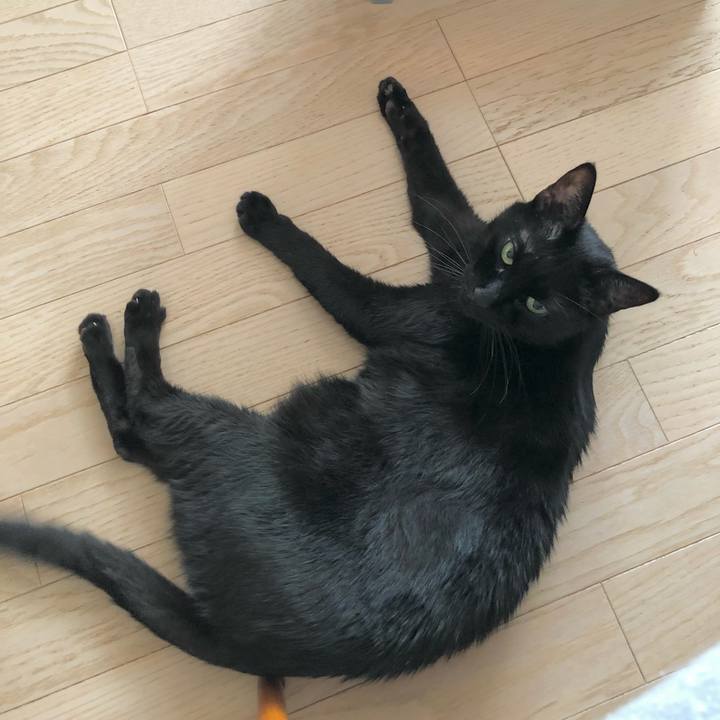 47bc4881 d601 4b45 9f5a 4a32fd3e4437 1639310010235