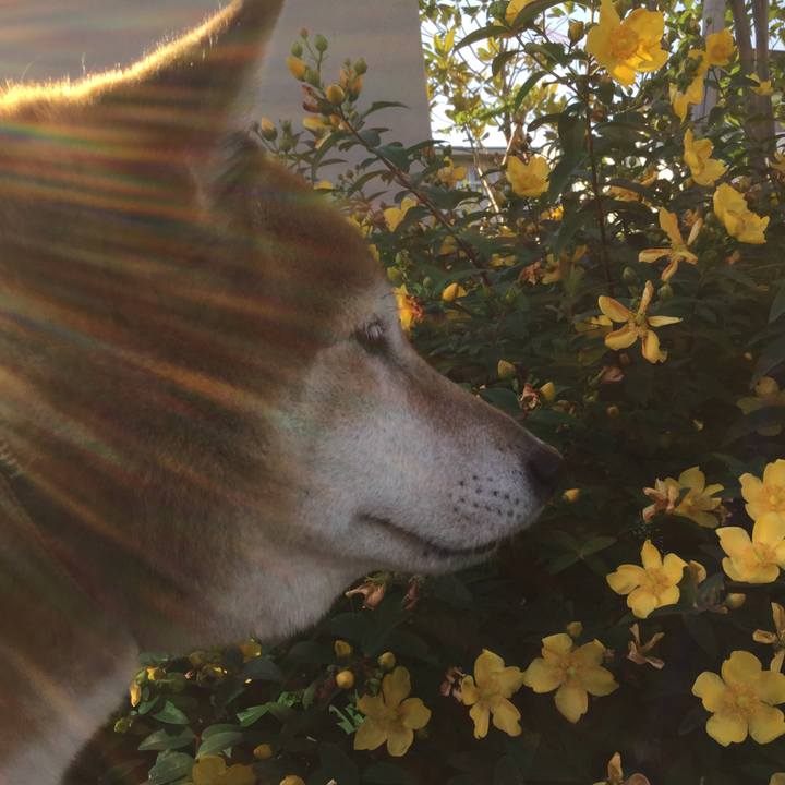 47bc7ae6 e2de 446e 9f30 6f65be56d85f 1622280443860