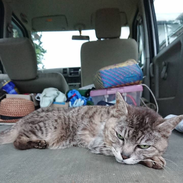 47bc850e 158d 480b b477 4c1f3594fb88 1591955842422