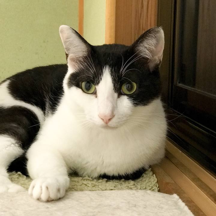 47bc9879 8541 4d18 ad71 30d2c8349d9a 1532011182983