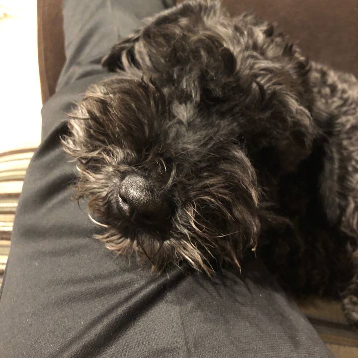 47bcbce8 baaa 4917 96fb 207763ee7245 1650711676215