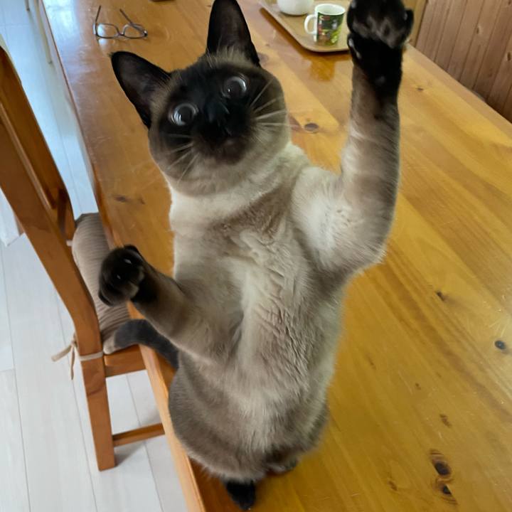 47bcd08f 10db 4c1e 83e5 8b0b131dfa56 1751492096237