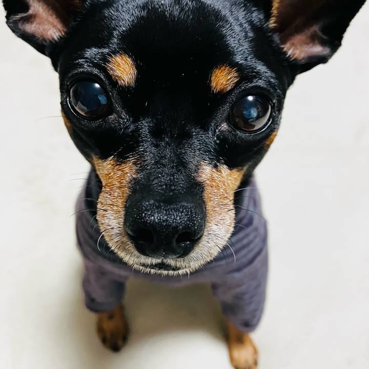 47bcdc3c 6e45 44ee be7f 449e726e9c18 1740914524469