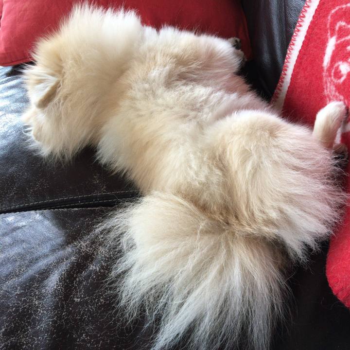 47bcea82 9c4f 423c 87e2 cfdb0ec86d91 1522973330102