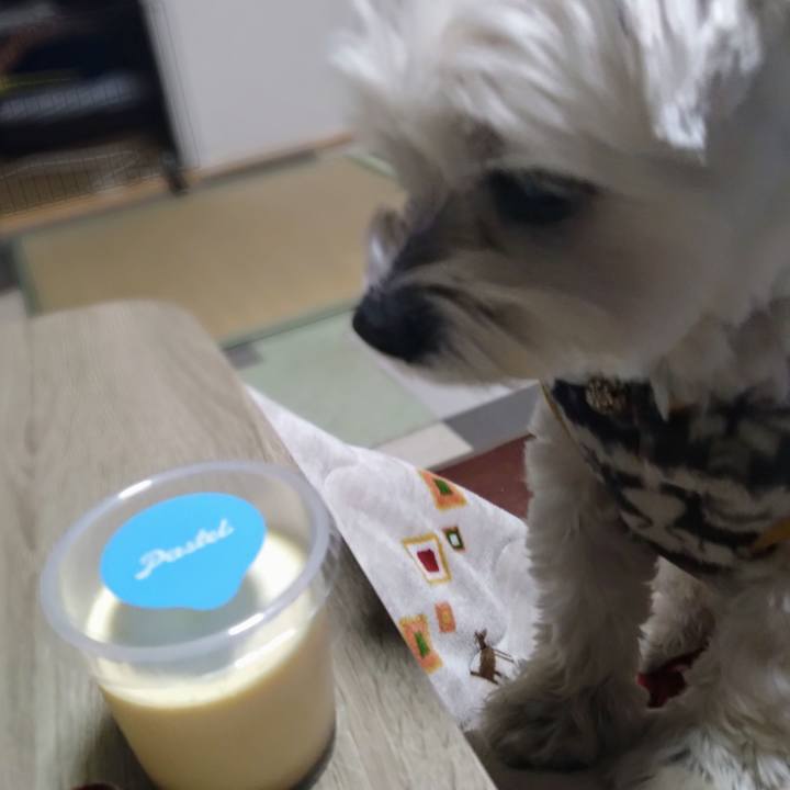 47bd1125 4c56 4974 bfc6 247e5ce46b7c 1737983118345