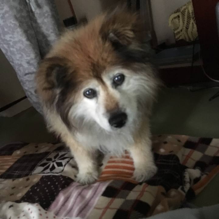 47bd2c72 2807 4ca2 bb8f 981646364663 1553644048781