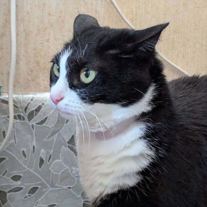 47bd33b6 010e 43bc 9d8a e2b3e3deed49 1749623504550