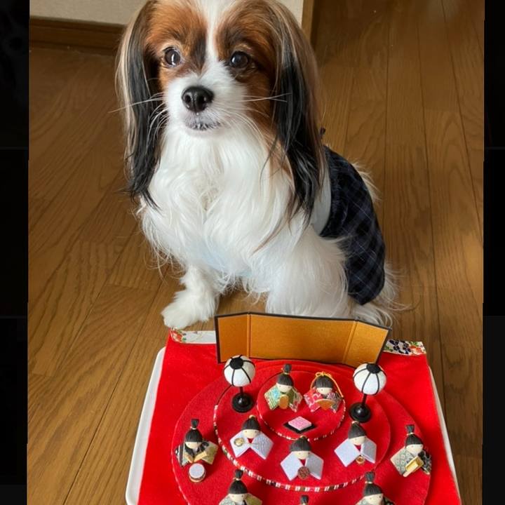 47bd6185 3d9c 430f a413 cbb151aa9eb4 1709428936568