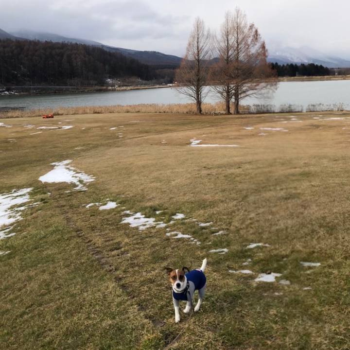 47bd8724 1aed 4de4 87b8 77495f42d427 1545809356511