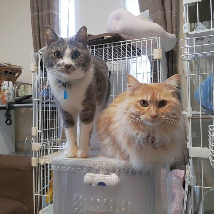 47bd8fe6 4e33 49f0 b18b 674359c39180 1682240019752