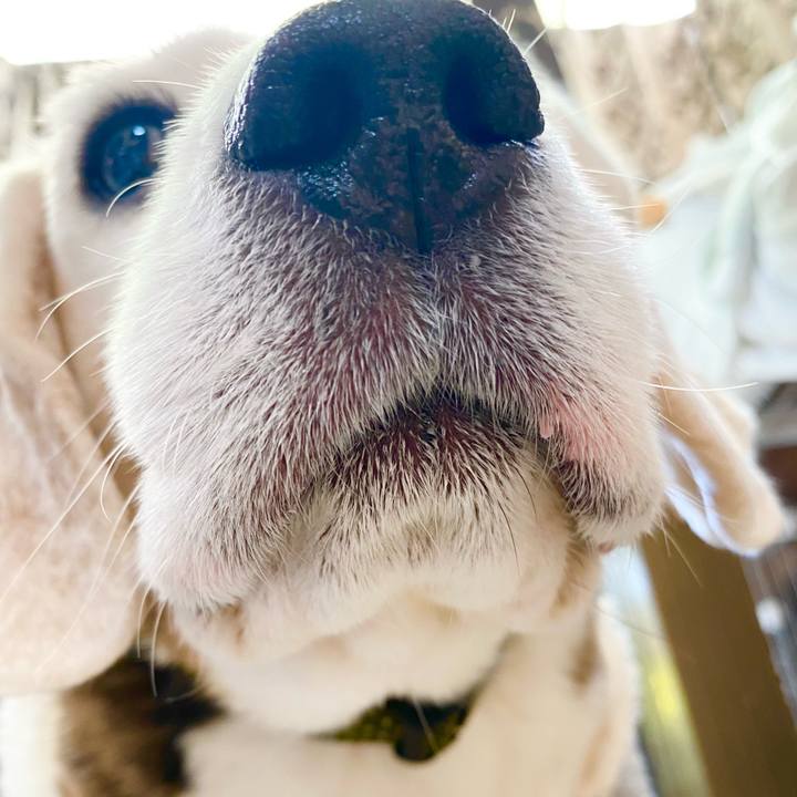 47bda754 5cb8 4f70 a9a6 bfcceaee142d 1646311894111